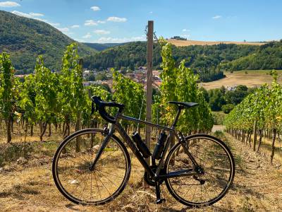 Wine & Bike - Rundtour ab Bretten